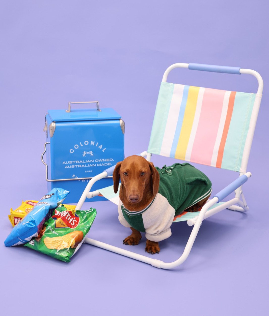 A dachshund in a green jumper on a striped beach chair on a lilac set, next to a blue cooler and bags of chips